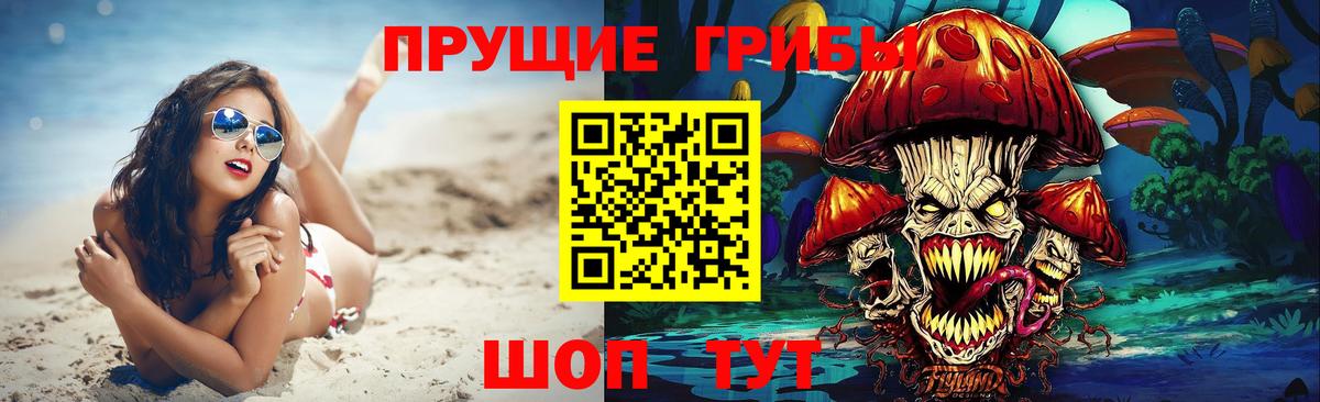 дарнет шоп  Псилоцибиновые грибы GOLDEN TEACHER  Вход с VPN  Дубна 